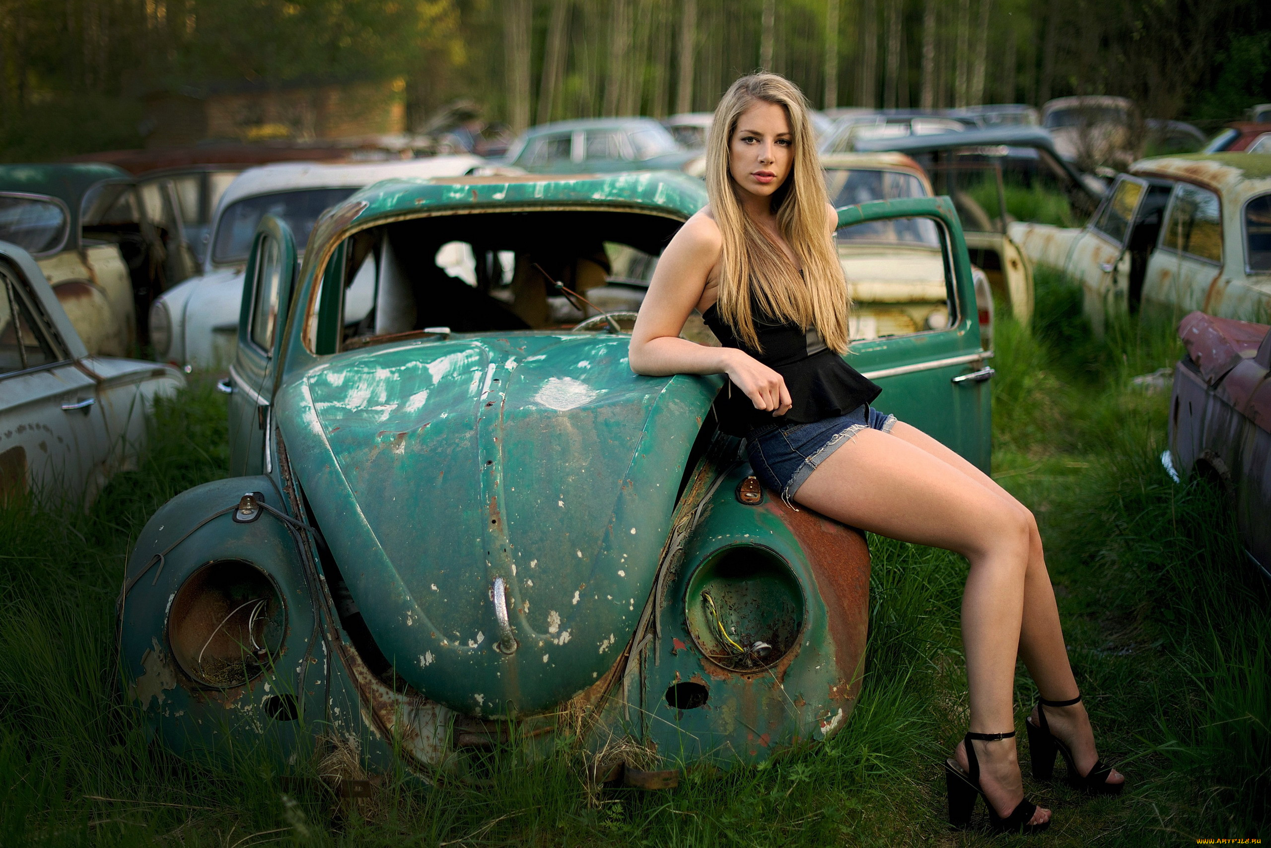 , -  , vw, junker